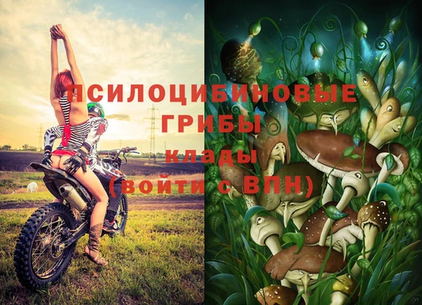 эйфоретик Богданович