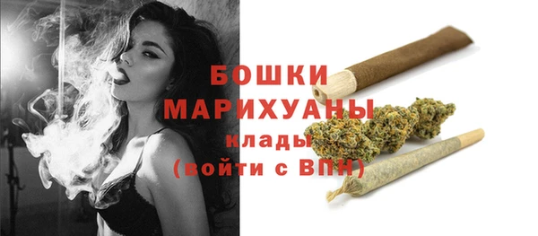 молекула духа Богородицк