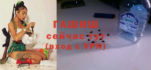 молекула духа Богородицк