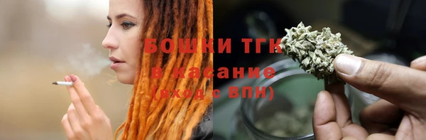 молекула духа Богородицк