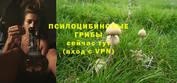 ALPHA-PVP Богородск