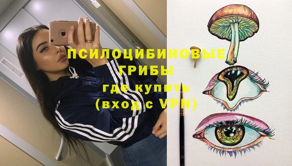 эйфоретик Богданович