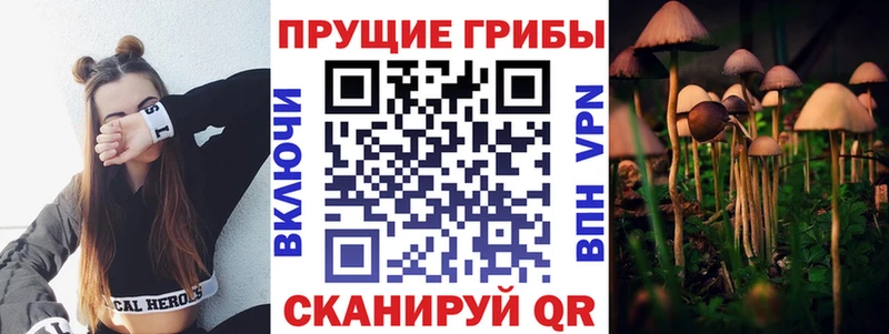 Галлюциногенные грибы MAGIC MUSHROOMS  где можно купить   ссылка на мегу маркетплейс  Тулун 
